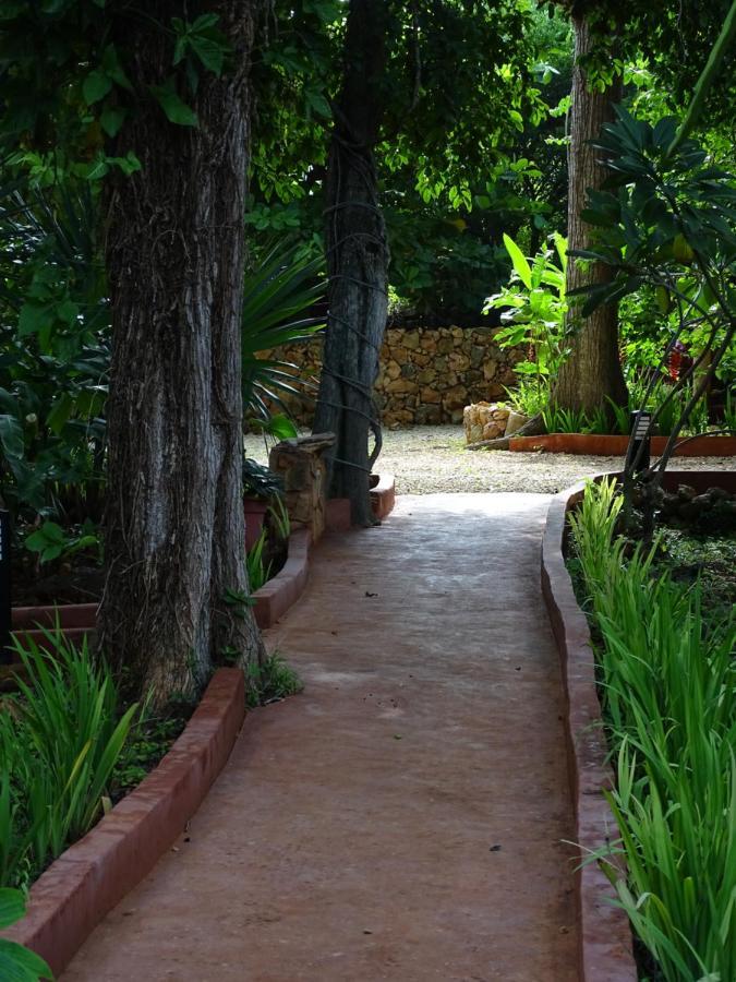 The Flycatcher Inn Retreat Hotel Санта-Элена Экстерьер фото